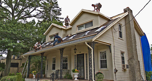 Best Shingle Roofing Installation  in Manitowoc, WI